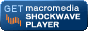 Necesitas este programa para jugar